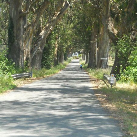 Pescadero Creek Inn Екстериор снимка