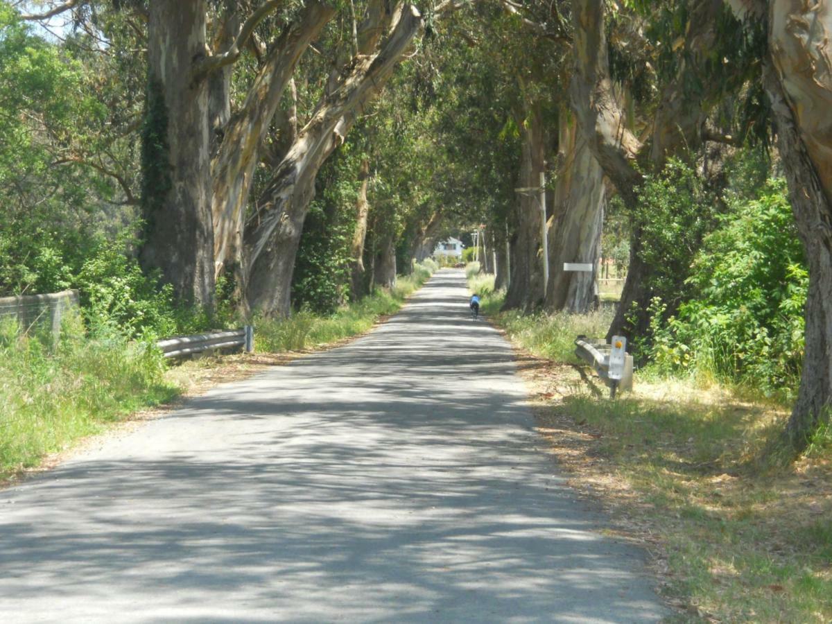 Pescadero Creek Inn Екстериор снимка